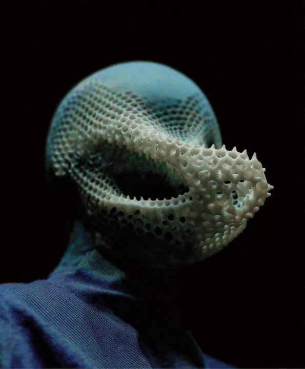 The Mask — image 04 of 15