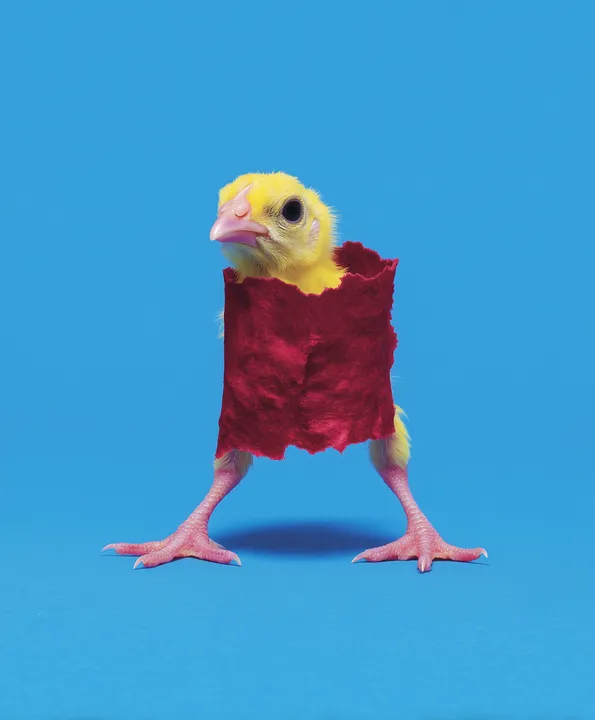 Toiletpaper, Reinvented — image 04 of 10